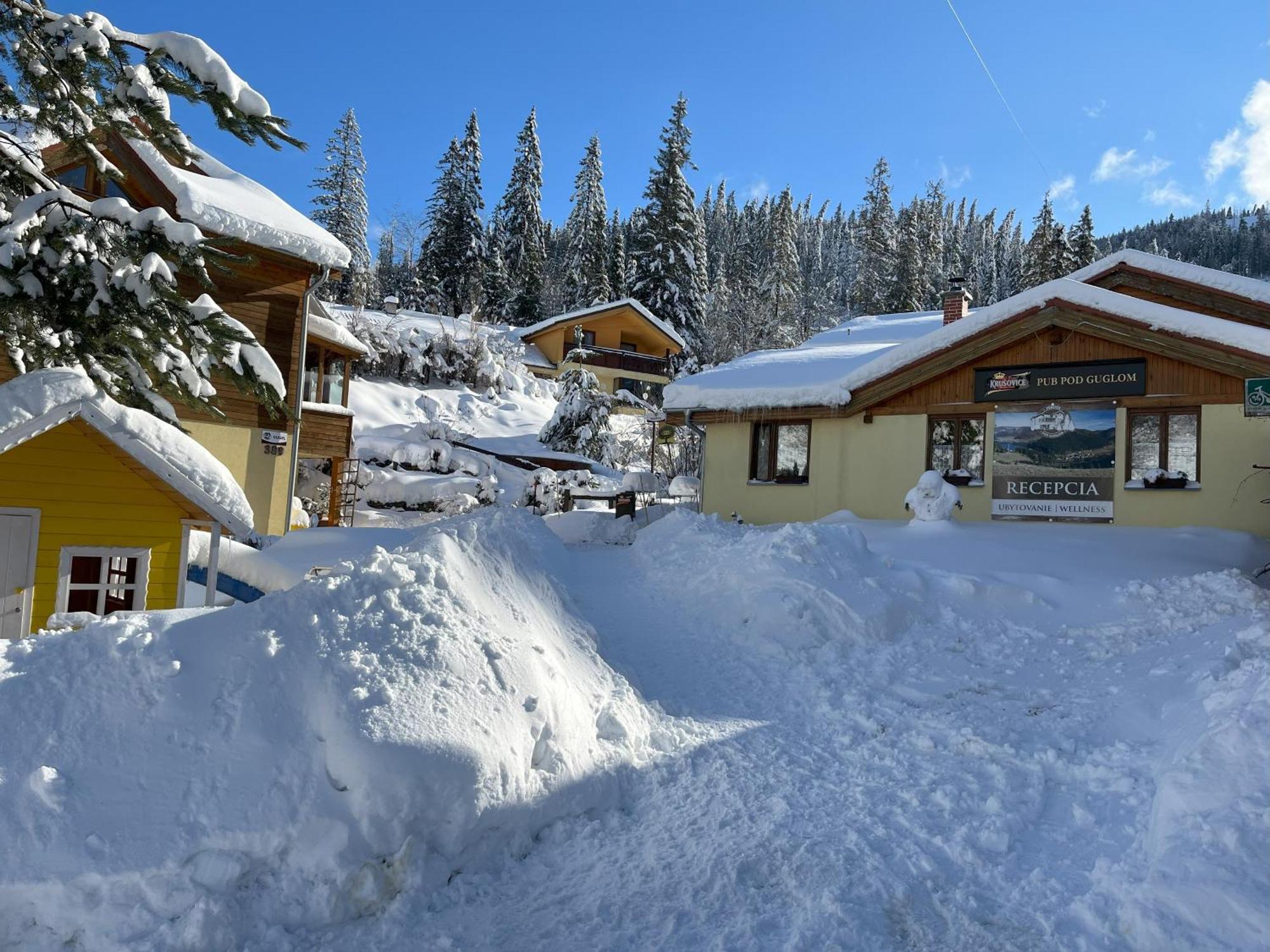 Penzion Pod Guglom Mlynky Exteriér fotografie