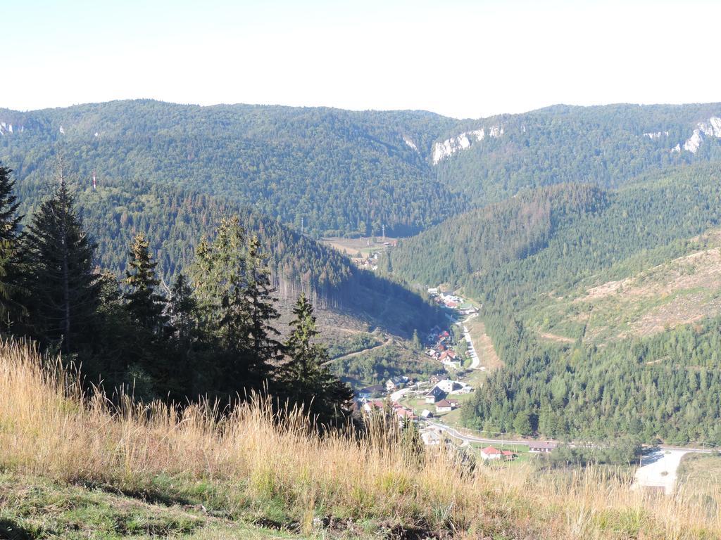 Penzion Pod Guglom Mlynky Exteriér fotografie