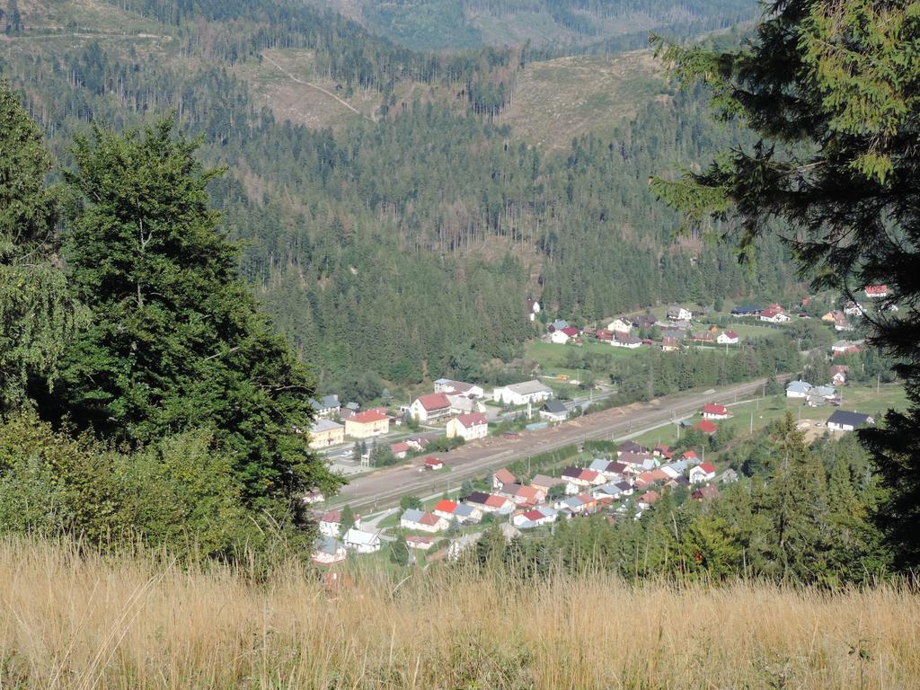 Penzion Pod Guglom Mlynky Exteriér fotografie